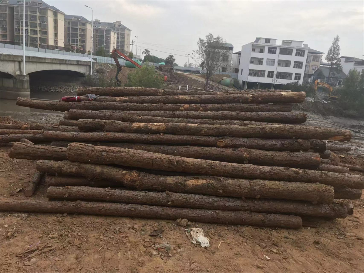 33 (2).jpg 33 (2).jpg