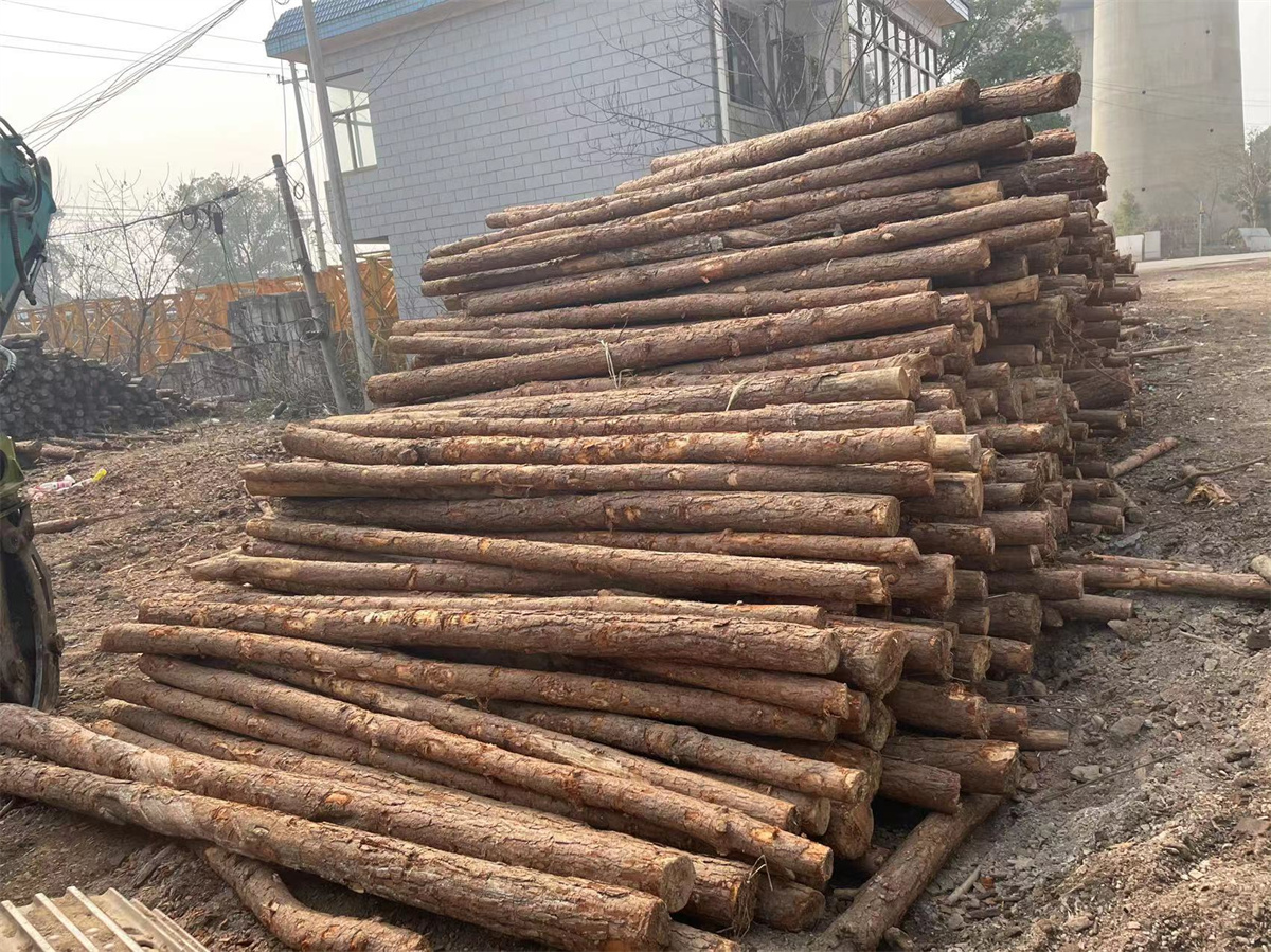 23 (2).jpg 23 (2).jpg