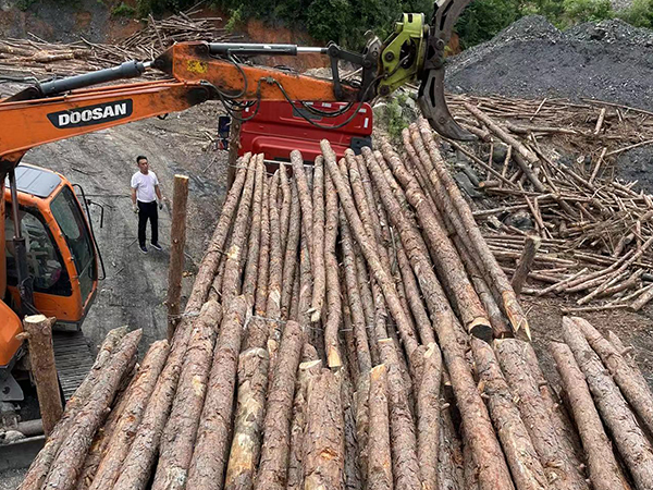 松木樁批發(fā)