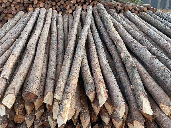 松木樁批發(fā)