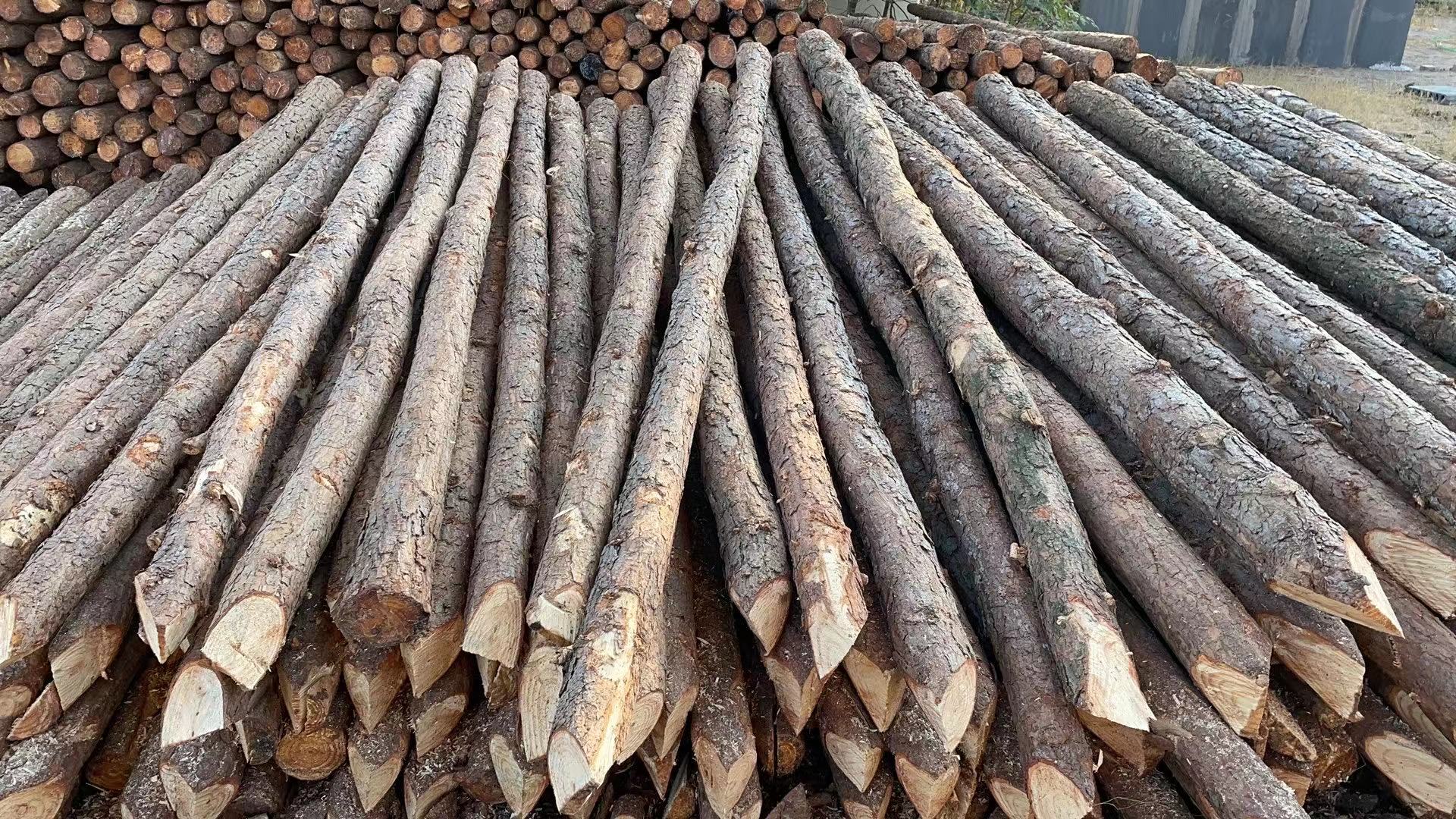 25 (2).jpg 25 (2).jpg