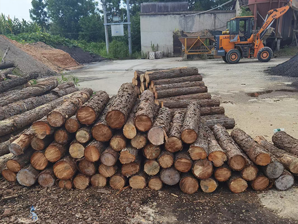 杉木樁批發(fā)