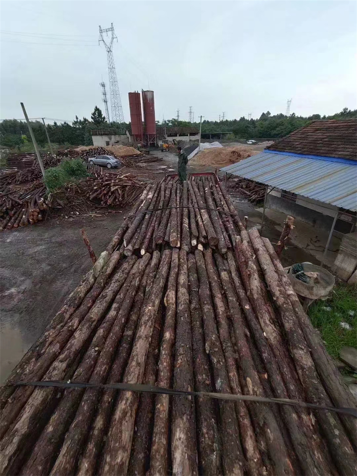 15 (2).jpg 15 (2).jpg