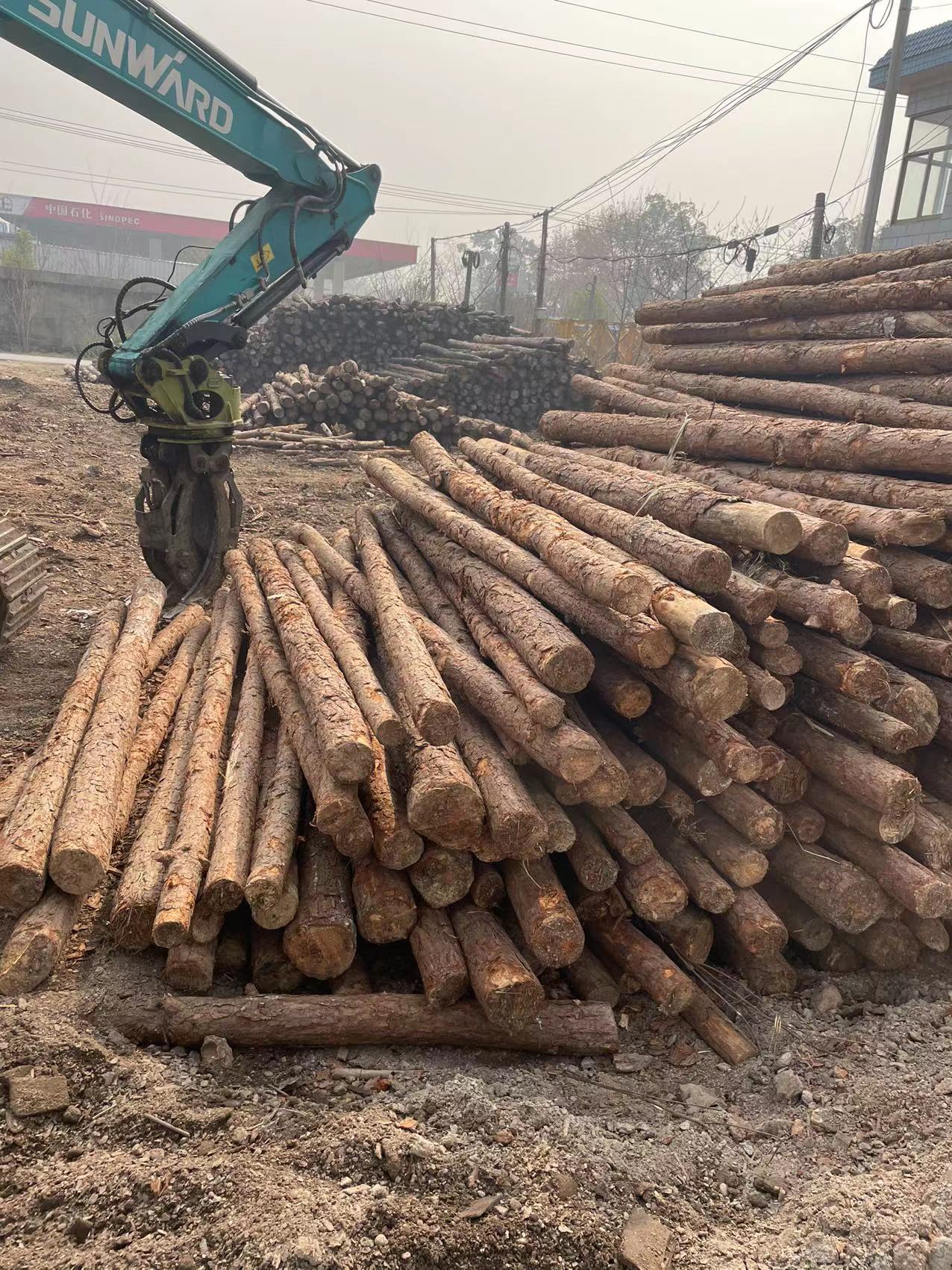 22 (2).jpg 22 (2).jpg