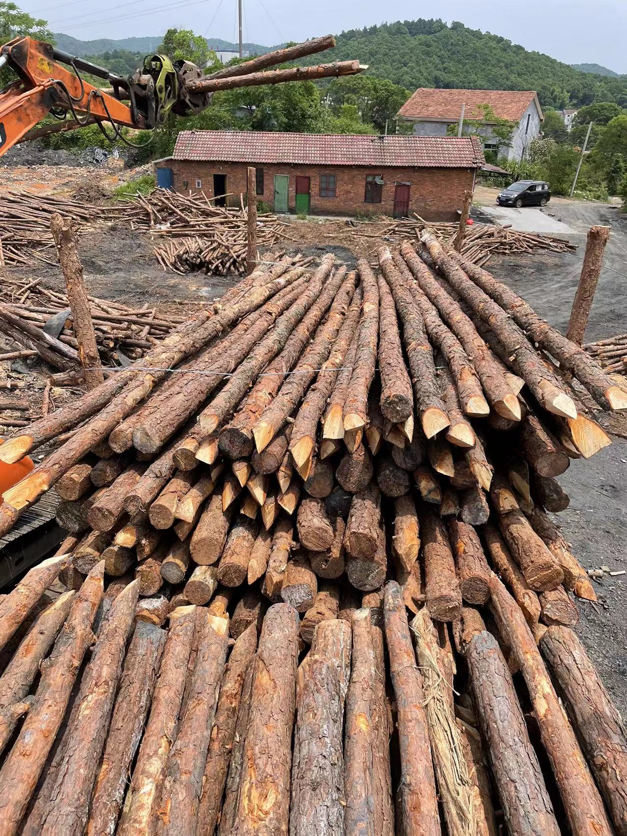 27 (2).jpg 27 (2).jpg